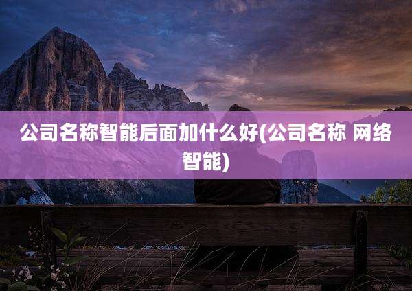 公司名称智能后面加什么好(公司名称 网络智能)