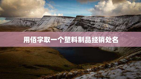 用佰字取一个塑料制品经销处名