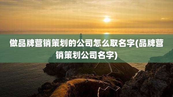 做品牌营销策划的公司怎么取名字(品牌营销策划公司名字)