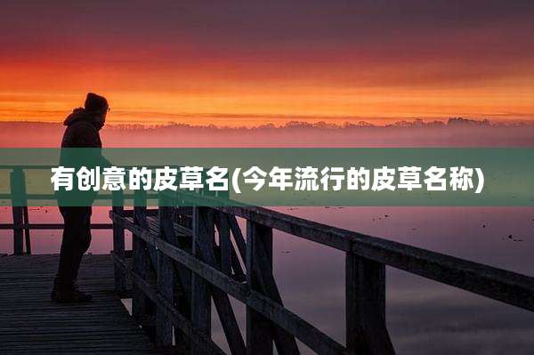 有创意的皮草名(今年流行的皮草名称)