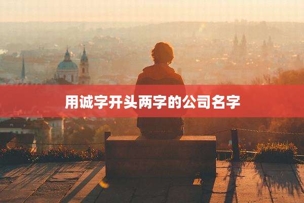 用诚字开头两字的公司名字