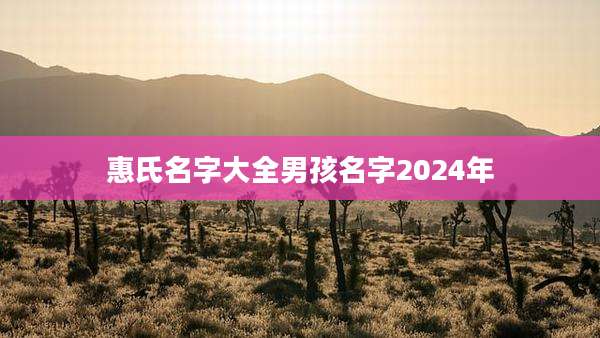 惠氏名字大全男孩名字2024年