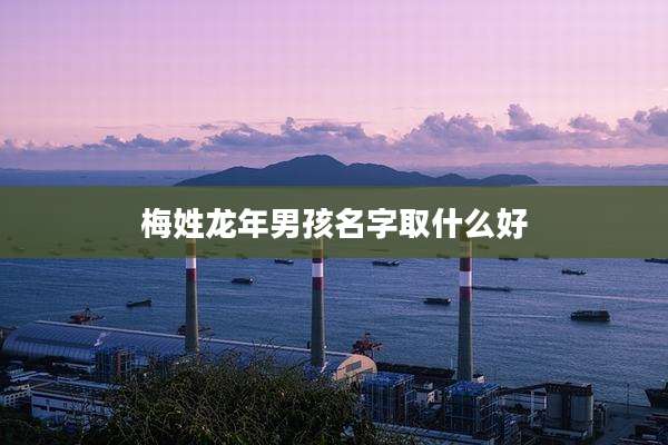 梅姓龙年男孩名字取什么好