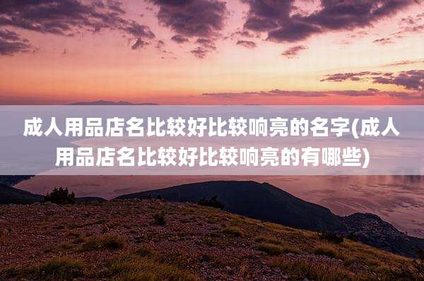 成人用品店名比较好比较响亮的名字(成人用品店名比较好比较响亮的有哪些)