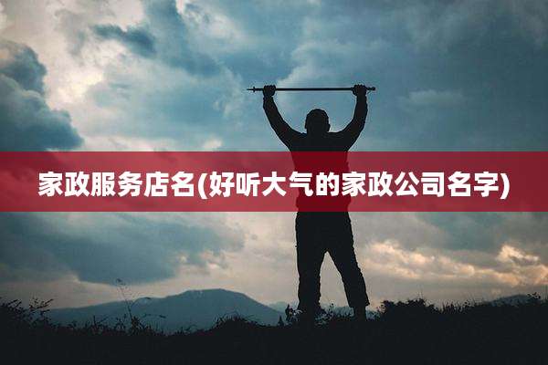 家政服务店名(好听大气的家政公司名字)