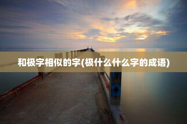 和极字相似的字(极什么什么字的成语)