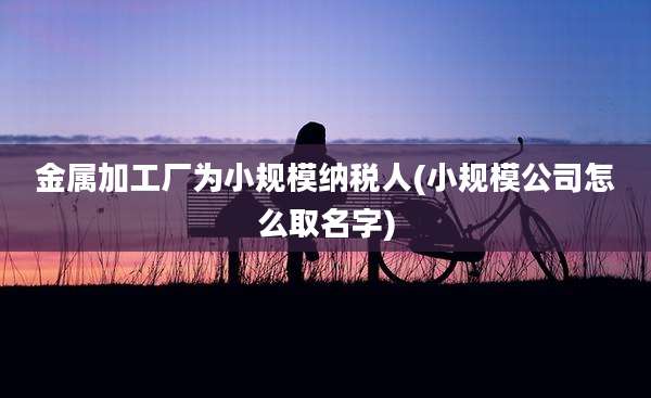 金属加工厂为小规模纳税人(小规模公司怎么取名字)