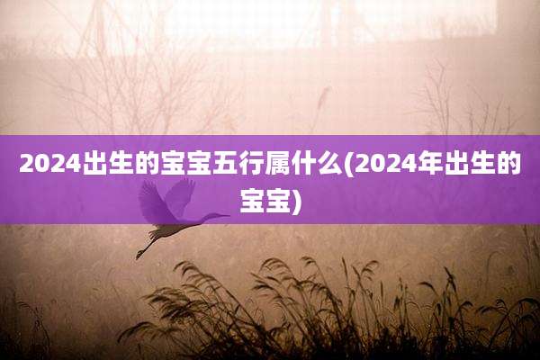 2024出生的宝宝五行属什么(2024年出生的宝宝)