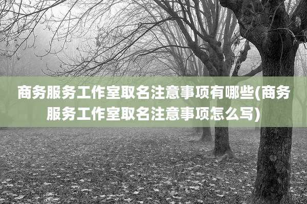 商务服务工作室取名注意事项有哪些(商务服务工作室取名注意事项怎么写)