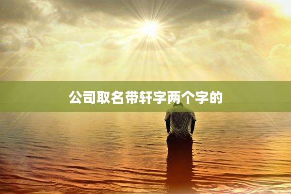 公司取名带轩字两个字的