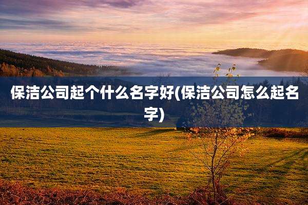 保洁公司起个什么名字好(保洁公司怎么起名字)