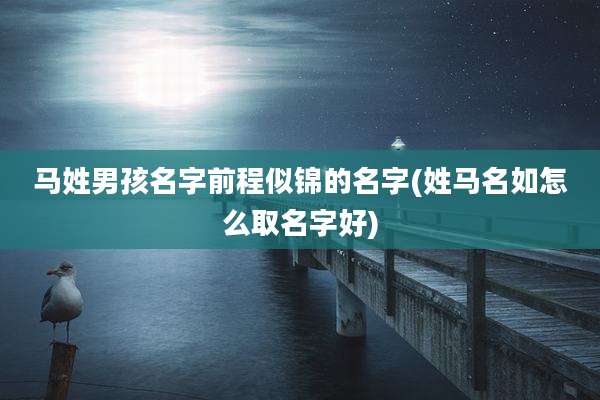 马姓男孩名字前程似锦的名字(姓马名如怎么取名字好)