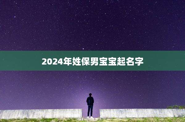 2024年姓保男宝宝起名字