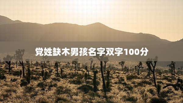 党姓缺木男孩名字双字100分