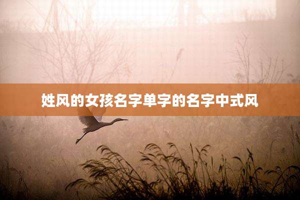 姓风的女孩名字单字的名字中式风