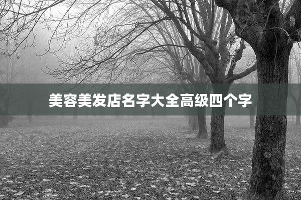 美容美发店名字大全高级四个字