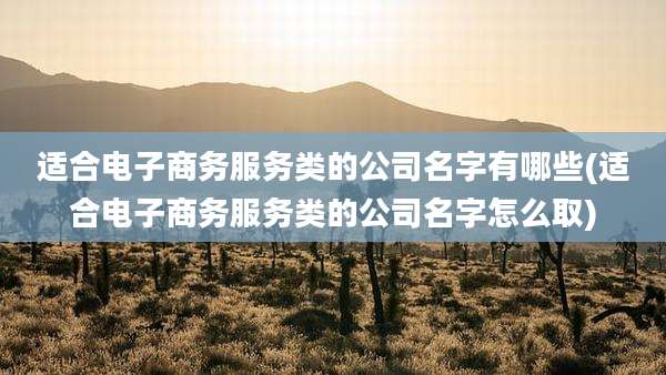 适合电子商务服务类的公司名字有哪些(适合电子商务服务类的公司名字怎么取)