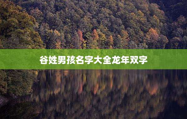 谷姓男孩名字大全龙年双字