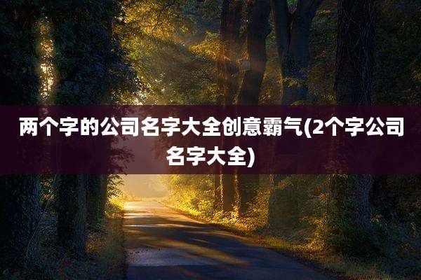 两个字的公司名字大全创意霸气(2个字公司名字大全)