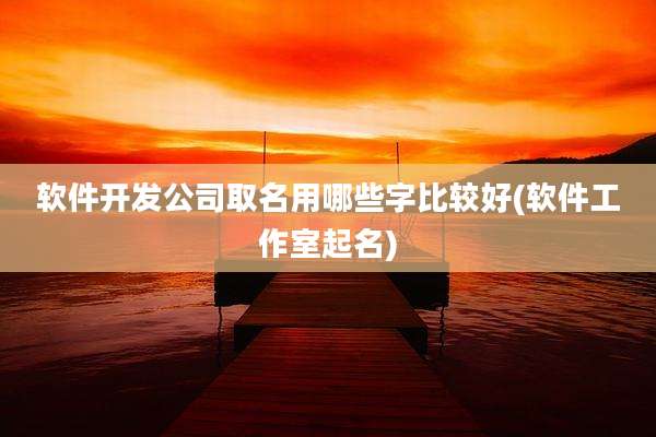 软件开发公司取名用哪些字比较好(软件工作室起名)