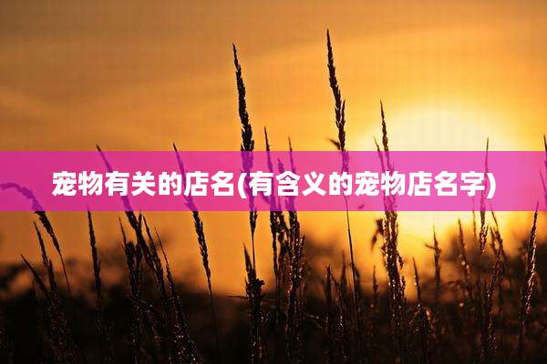 宠物有关的店名(有含义的宠物店名字)