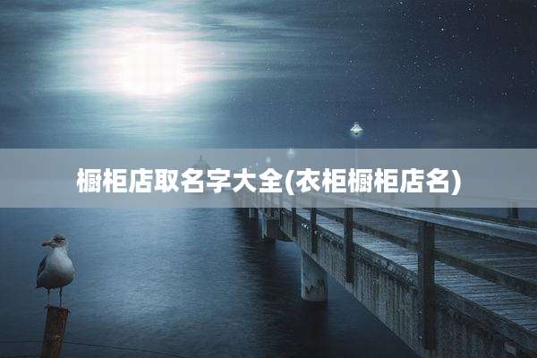 橱柜店取名字大全(衣柜橱柜店名)
