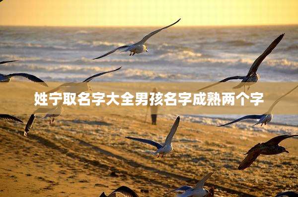 姓宁取名字大全男孩名字成熟两个字