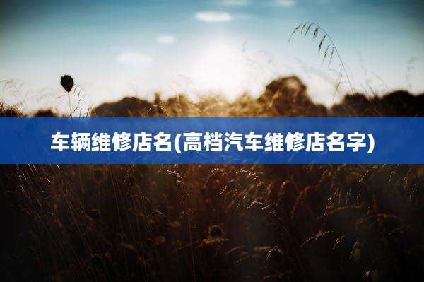 车辆维修店名(高档汽车维修店名字)