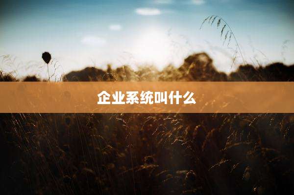 企业系统叫什么