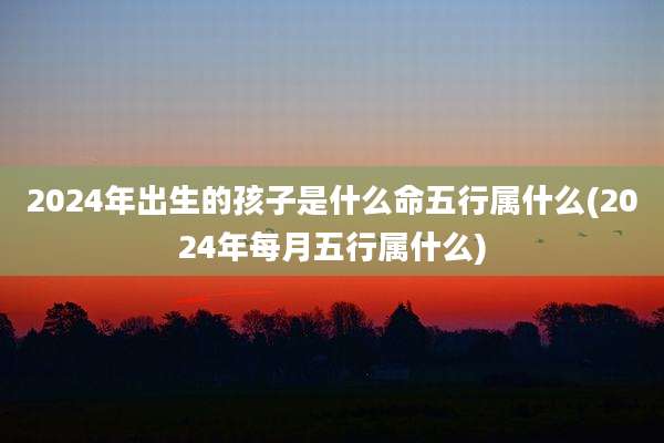 2024年出生的孩子是什么命五行属什么(2024年每月五行属什么)