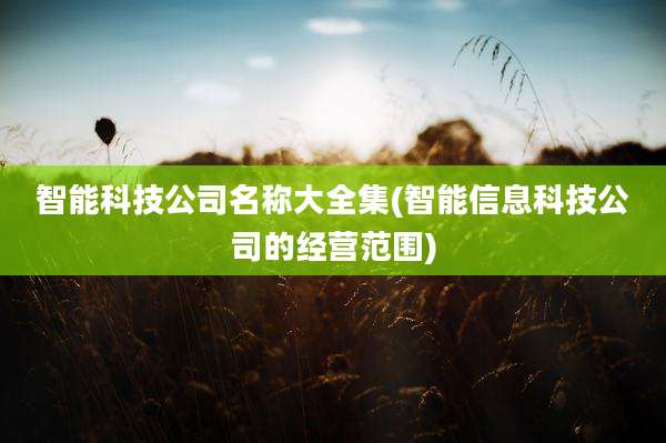 智能科技公司名称大全集(智能信息科技公司的经营范围)