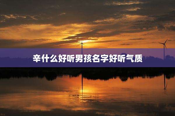 辛什么好听男孩名字好听气质