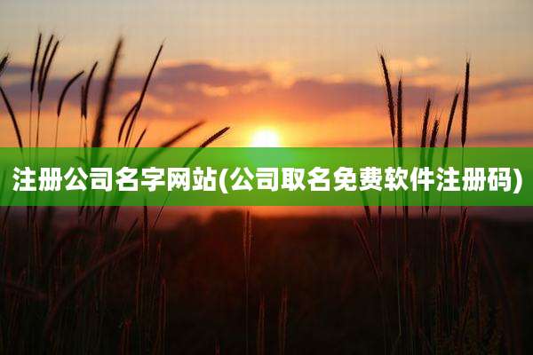 注册公司名字网站(公司取名免费软件注册码)