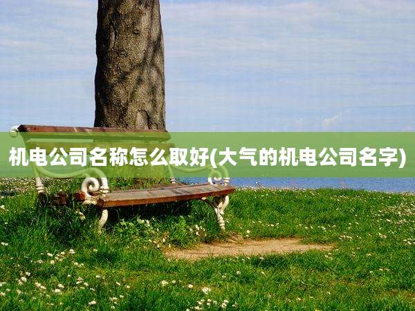 机电公司名称怎么取好(大气的机电公司名字)