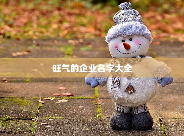 旺气的企业名字大全