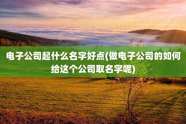 电子公司起什么名字好点(做电子公司的如何给这个公司取名字呢)