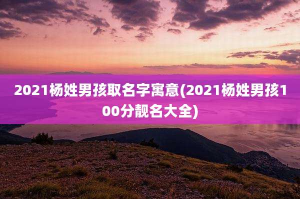 2021杨姓男孩取名字寓意(2021杨姓男孩100分靓名大全)