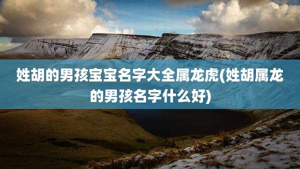 姓胡的男孩宝宝名字大全属龙虎(姓胡属龙的男孩名字什么好)