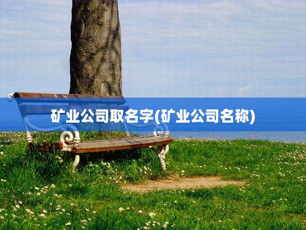 矿业公司取名字(矿业公司名称)