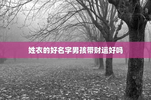 姓衣的好名字男孩带财运好吗