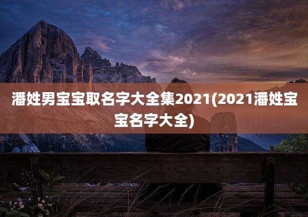 潘姓男宝宝取名字大全集2021(2021潘姓宝宝名字大全)
