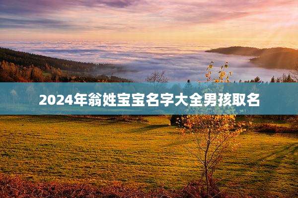 2024年翁姓宝宝名字大全男孩取名