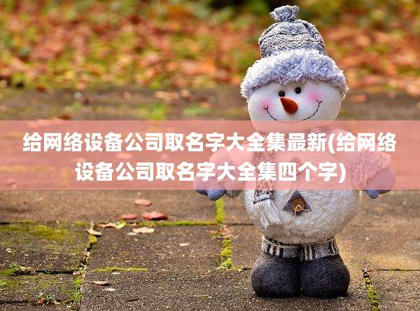 给网络设备公司取名字大全集最新(给网络设备公司取名字大全集四个字)