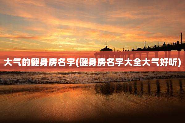 大气的健身房名字(健身房名字大全大气好听)