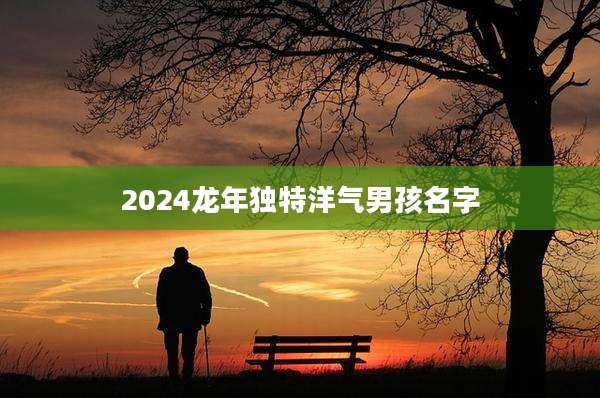 2024龙年独特洋气男孩名字