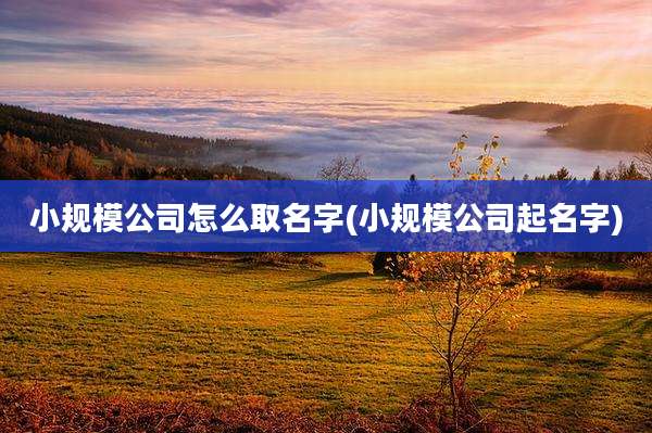 小规模公司怎么取名字(小规模公司起名字)