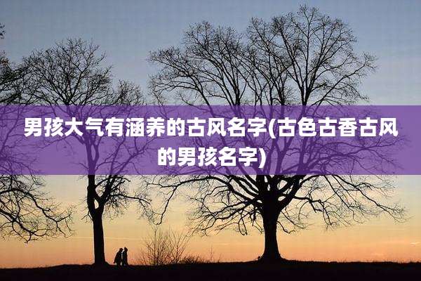 男孩大气有涵养的古风名字(古色古香古风的男孩名字)