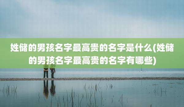 姓储的男孩名字最高贵的名字是什么(姓储的男孩名字最高贵的名字有哪些)