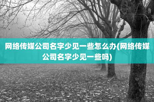 网络传媒公司名字少见一些怎么办(网络传媒公司名字少见一些吗)