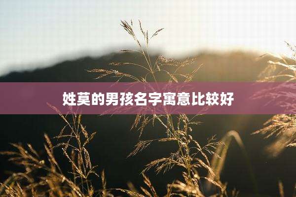 姓莫的男孩名字寓意比较好